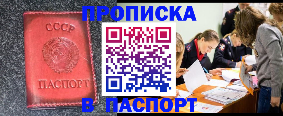прописка для школы в Волосово